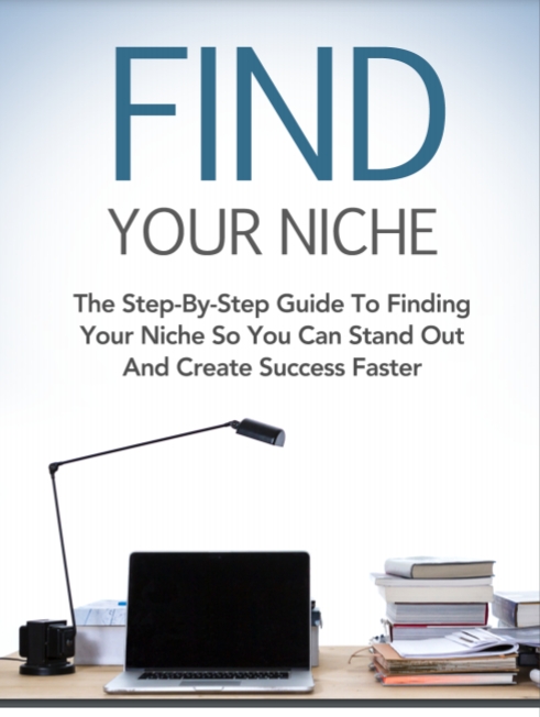 business niche finding